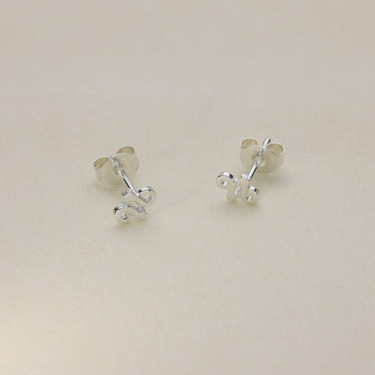 Sterling Silver Stud Earrings JDE28